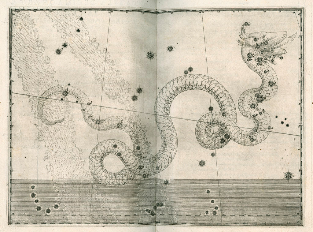 Detail of Constellation of Serpens by Alexander Mair