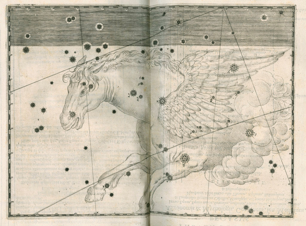 Detail of Constellation of Pegasus by Alexander Mair