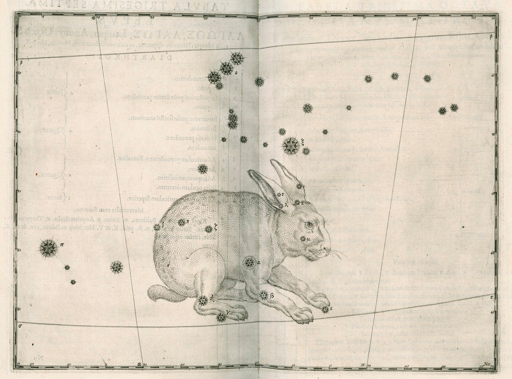 Detail of Constellation of Lepus by Alexander Mair