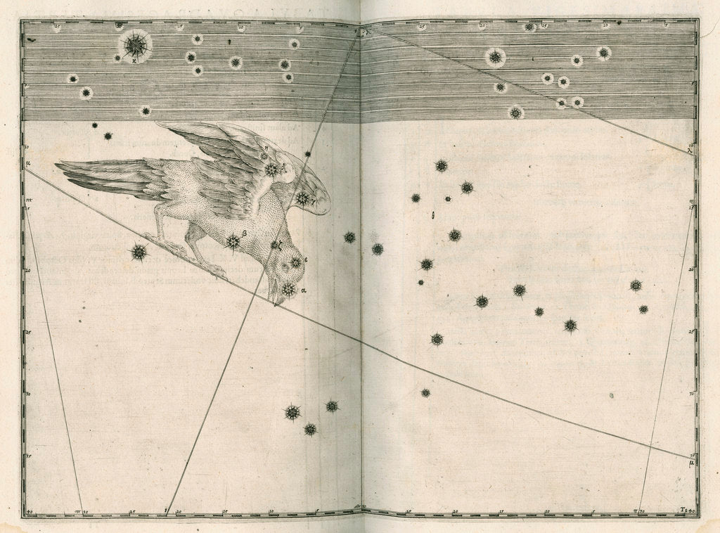 Constellation of Corvus by Alexander Mair