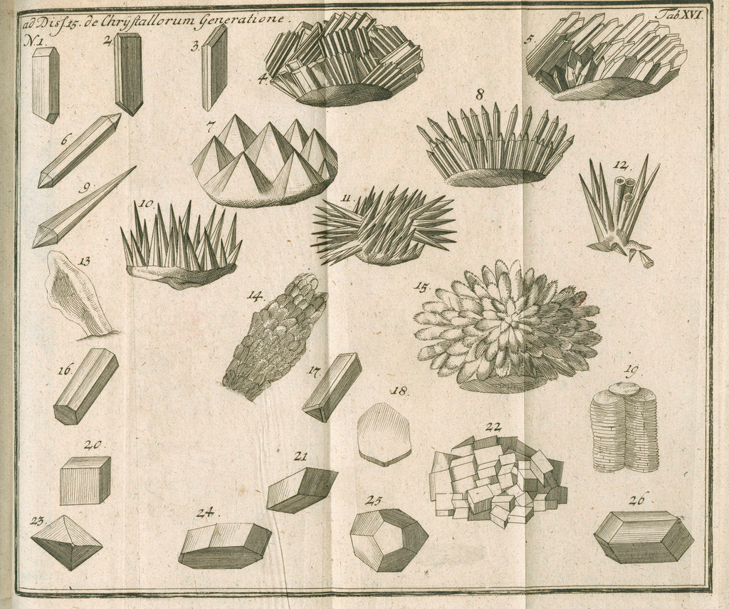 Detail of Microscopical observations of crystals from Linnaeus's 'Academic delights' by Anonymous