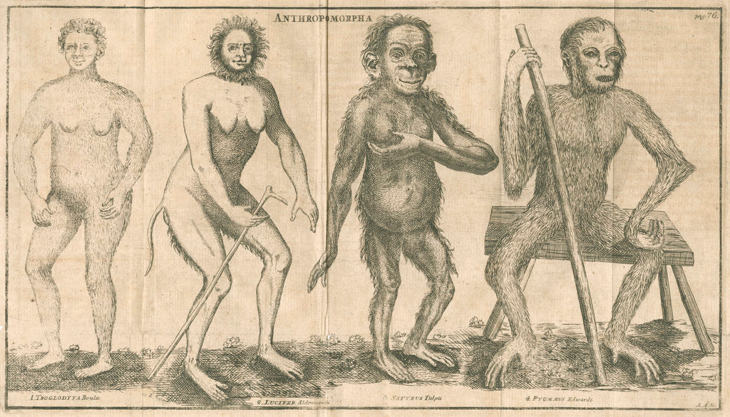 Four 'humanoid' figures from Linnaeus's 'Academic delights' by Anonymous