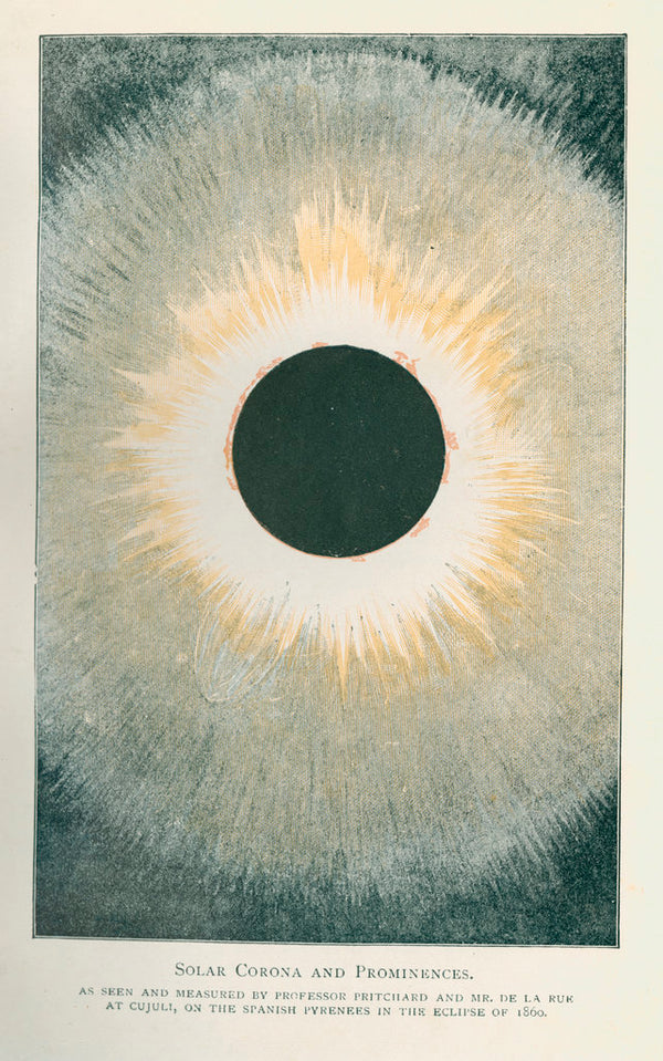 Solar corona and prominences posters & prints by Anonymous
