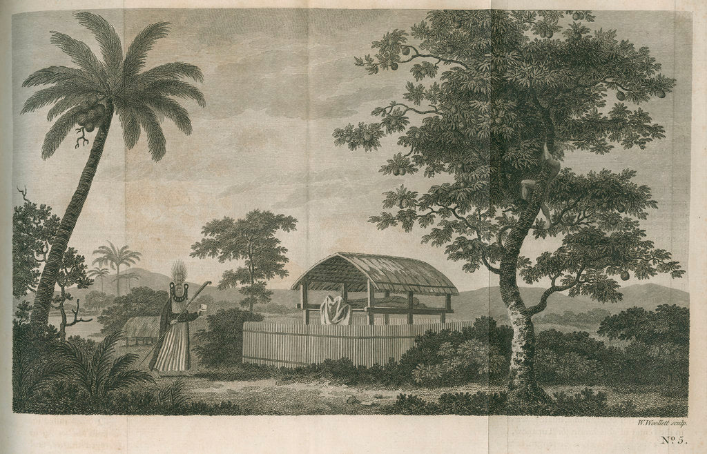 A tupapow (tupapau), or burial shed by William Woollett