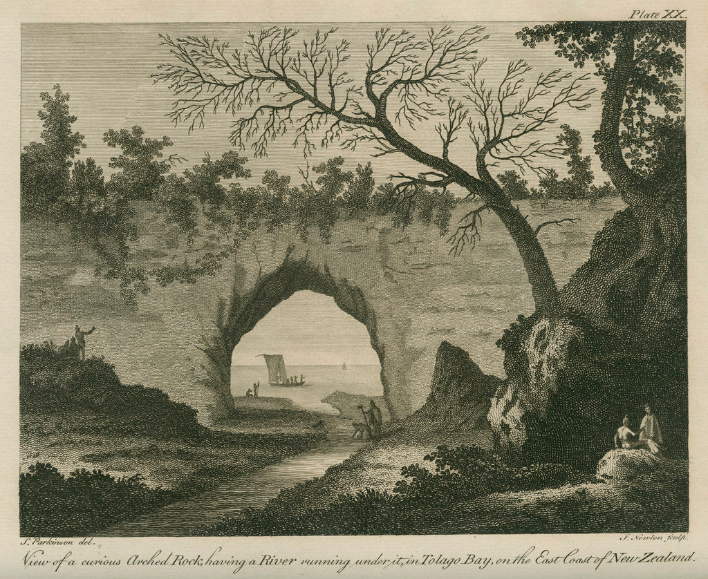 Detail of '...curious arched Rock, having a River running under it, in Tolago Bay.' by James Newton