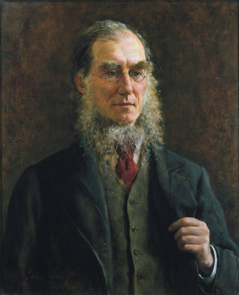 Detail of Portrait of Sir Joseph Dalton Hooker (1817-1911) by John Collier