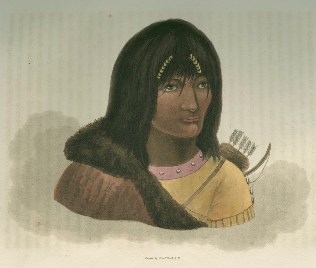 Detail of 'Portrait of a Stone Indian' by Edward Francis Finden