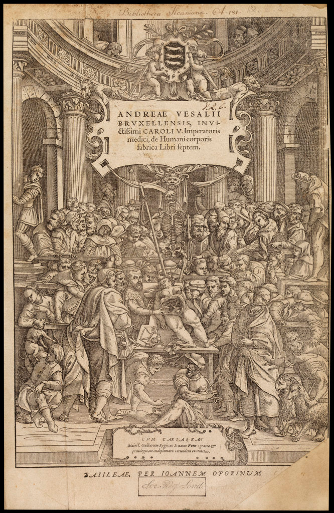 Title page of 'De humani corporis fabrica' by Studio of Titian