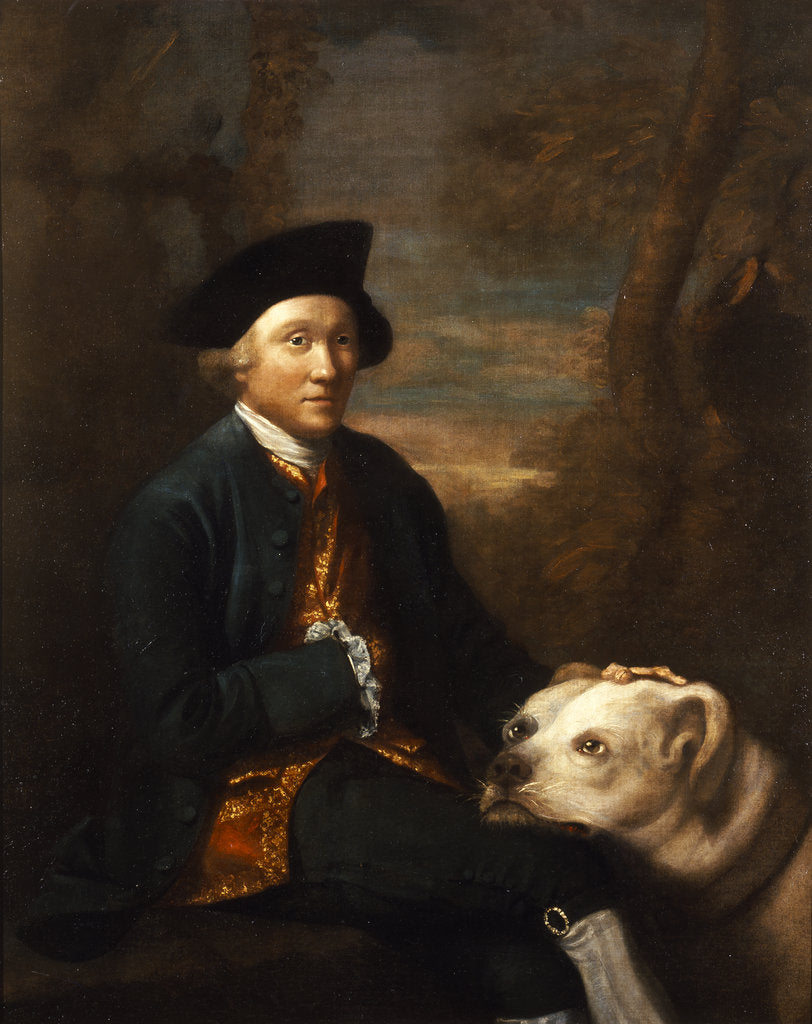 Detail of Portrait of John Hunter (1728-1793) by Robert Home